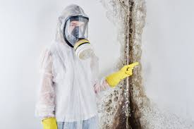 Best Mold Damage Restoration  in Glenn Heights, TX